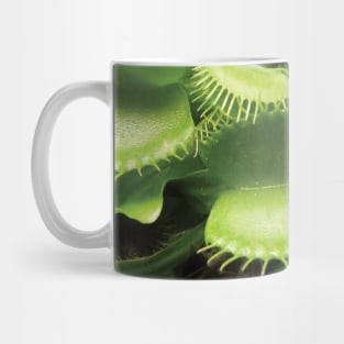 Venus Fly Trap Mug